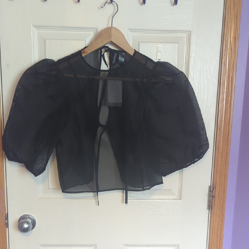 Elegant Black Sheer Top